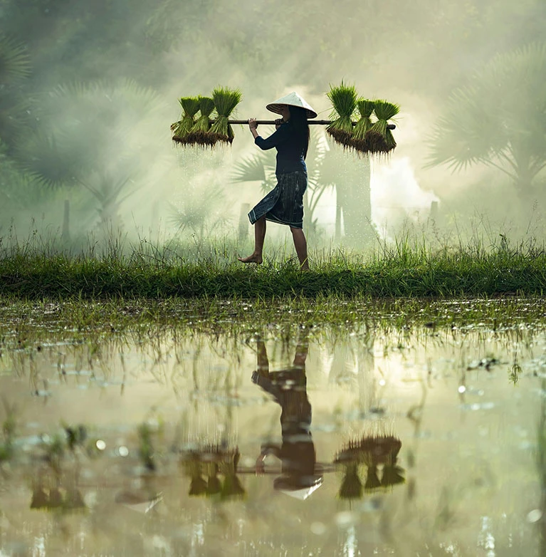 في جنوب كردفان، حيث تتعانق الطينة مع الشمس، وحيث لا تزال الأرض تُنطق الخير لمن يصغي لها، وُلدت حكاية “تَجَمُّلاً”. لم تكن شركة بالمعنى التجاري الضيق، بل كانت استجابة صادقة لنداء الأرض، ومحاولة واعية لإعادة تعريف العلاقة بين الإنسان وما يزرع، وبين المنتج وما يحمله من قيمة تتجاوز الوزن والسعر.