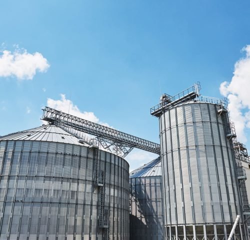 ليست الزراعة عند “تَجَمُّلاً” عملية تقنية فقط، بل رؤية متكاملة للحياة. رؤية تبدأ من سؤال بسيط وعميق: كيف نزرع دون أن نستنزف؟ وكيف ننتج دون أن نفقد روح الأرض؟