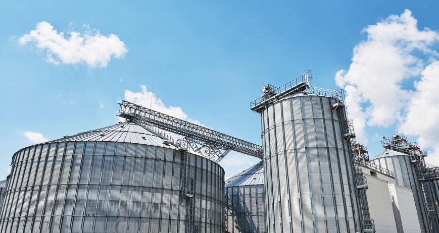 ليست الزراعة عند “تَجَمُّلاً” عملية تقنية فقط، بل رؤية متكاملة للحياة. رؤية تبدأ من سؤال بسيط وعميق: كيف نزرع دون أن نستنزف؟ وكيف ننتج دون أن نفقد روح الأرض؟