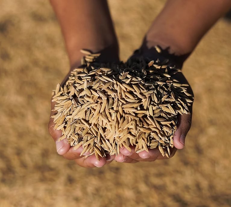 في جنوب كردفان، حيث تتعانق الطينة مع الشمس، وحيث لا تزال الأرض تُنطق الخير لمن يصغي لها، وُلدت حكاية “تَجَمُّلاً”. لم تكن شركة بالمعنى التجاري الضيق، بل كانت استجابة صادقة لنداء الأرض، ومحاولة واعية لإعادة تعريف العلاقة بين الإنسان وما يزرع، وبين المنتج وما يحمله من قيمة تتجاوز الوزن والسعر.