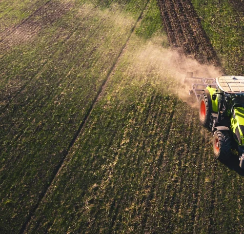 In a world where products are similar and differences are lost, Tajammoula has chosen a different path: the path of authenticity. Authenticity here is not nostalgia for the past, but a moral commitment to truth, and to ensuring that each product is a true reflection of its source.